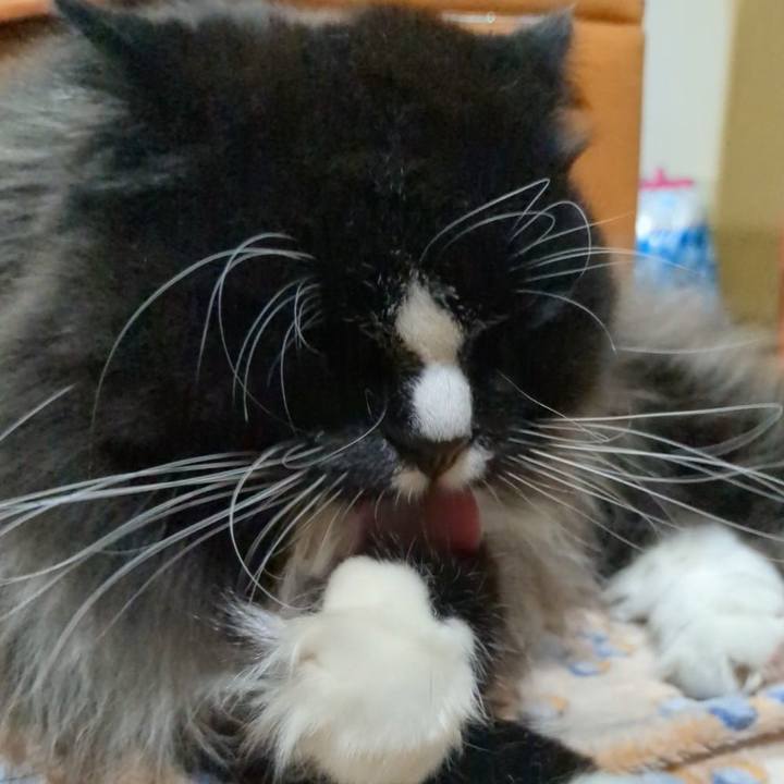 Dcd0595d cb60 4f13 a932 affe84d8a8d9 1731764582110