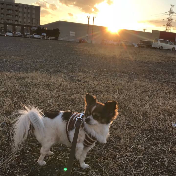 Dcd06a18 af23 4866 a3db 00ec05ccd41f 1518511744213