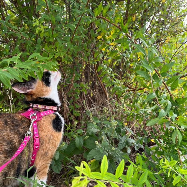 Dcd0ddc4 7353 4923 a499 fdf42a428d57 1694472340082