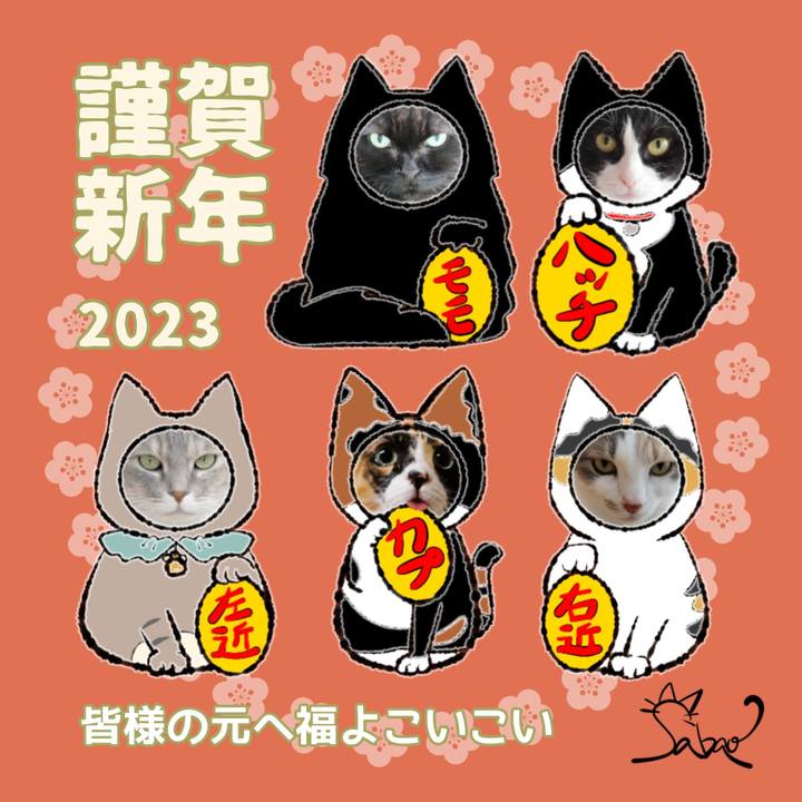 Dcd0ebf1 252a 4d5a b598 d40df2a8d06e 1672529906467