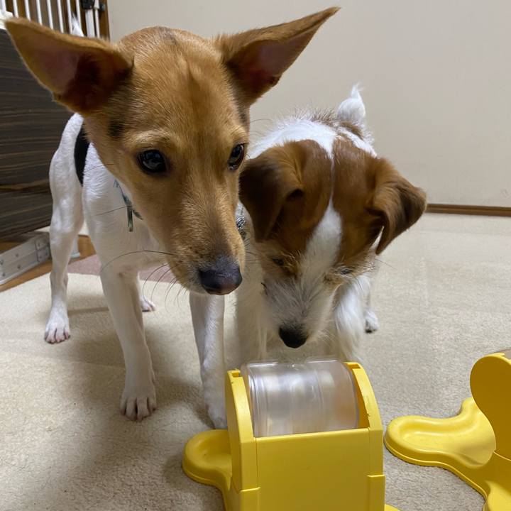 Dcd10018 ad64 4430 9411 9b9c22b60ed4 1771764610851