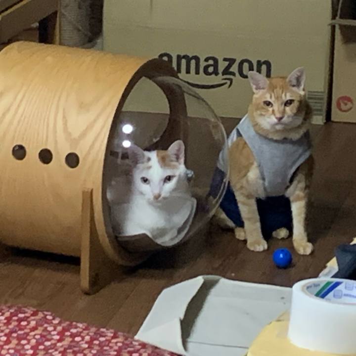 Dcd149e6 b4b7 4e06 b06a 35fe1b1fdb62 1615817852685