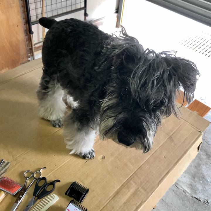 Dcd1895a 675d 4c4e b38b 1ec842ce9f5d 1686378605314