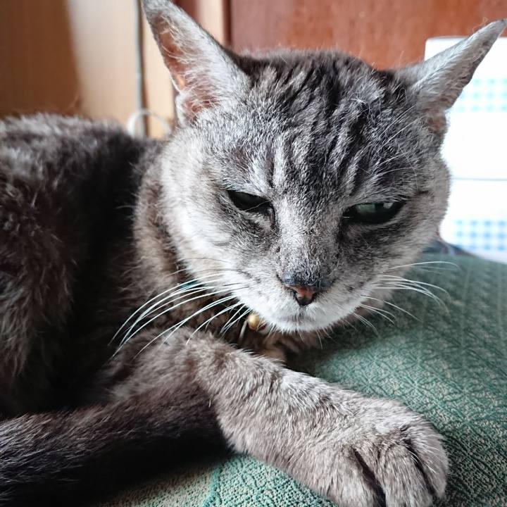 Dcd1b119 362b 4a0c 8476 b2d09a6a37a9 1565920492918