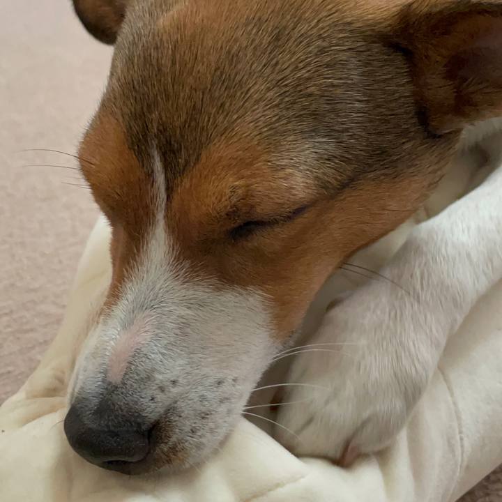 Dcd216f5 f882 4765 a8ed 735b6340df2f 1678615845488