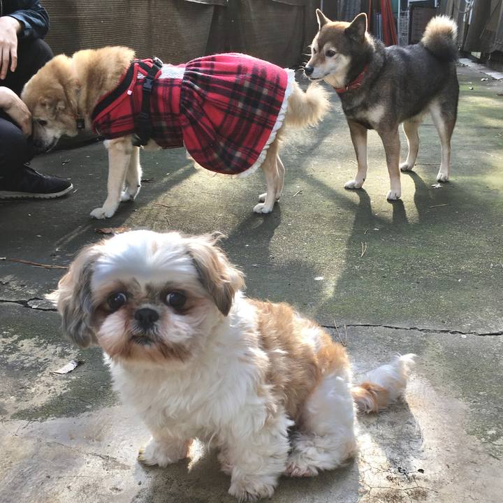 Dcd23762 fa8e 4b6c a129 d8eb9a721d15 1576746942156