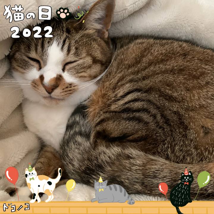 Dcd23d73 6d88 470b bdbe 4ecb67dfe818 1645545625626