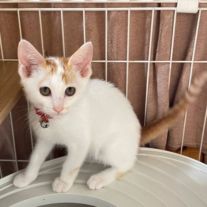 Dcd248d9 1801 4487 9785 709cb0be1809 1750579265333