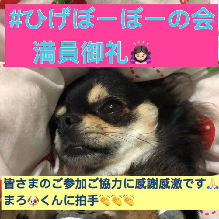 Dcd272ad 73ec 4463 98ed 60486dfb9196 1580526218521