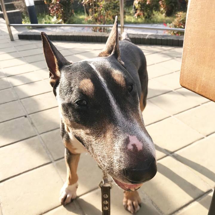 Dcd27439 3427 40bf 91ab d5b0574517b2 1522580666403