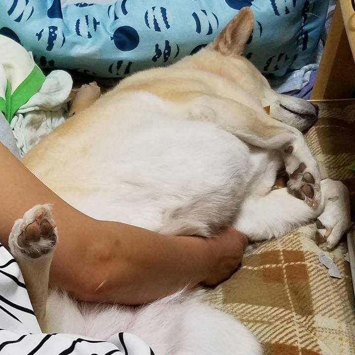 Dcd288df 44f3 4236 8816 68e0d8e122ee 1568811128179