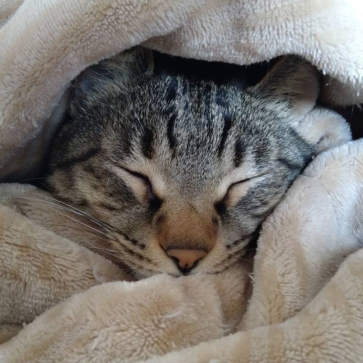 Dcd2bb1c 3421 4d59 9d3b 762cab07ebea 1645933502587