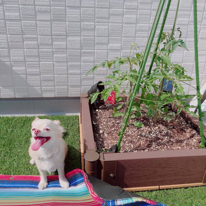 Dcd2e568 49f7 4e15 850e 347c22481cf5 1689575518010