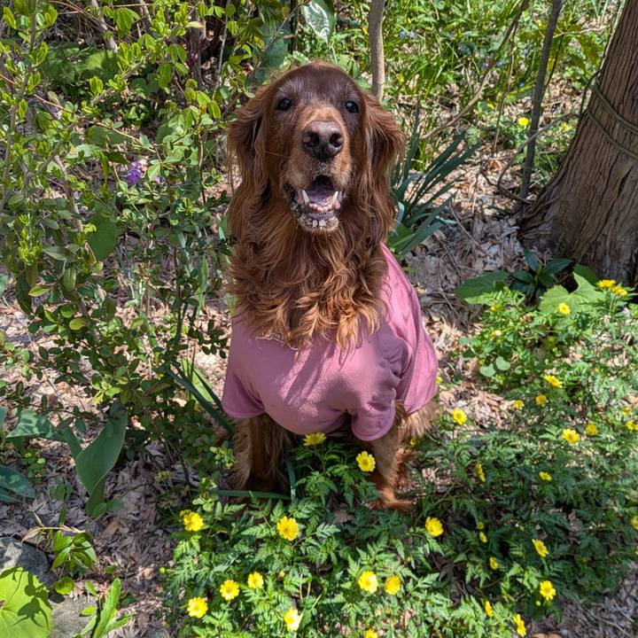 Dcd2fbb8 415d 498d b39d 5d9f74e30c7c 1776048585408