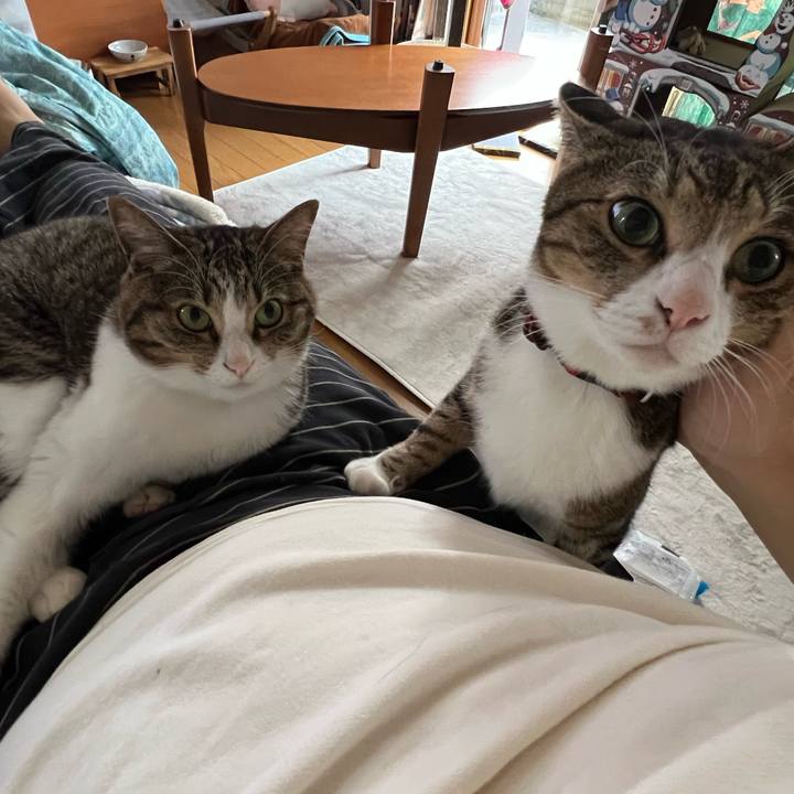 Dcd344b0 763a 4051 a8fd 2d352339c45a 1743418405696