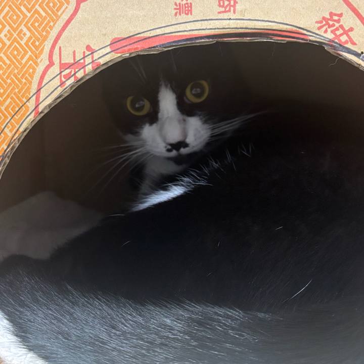 Dcd34f6f 8a6b 4d83 a698 58c25f4790f2 1762393209838