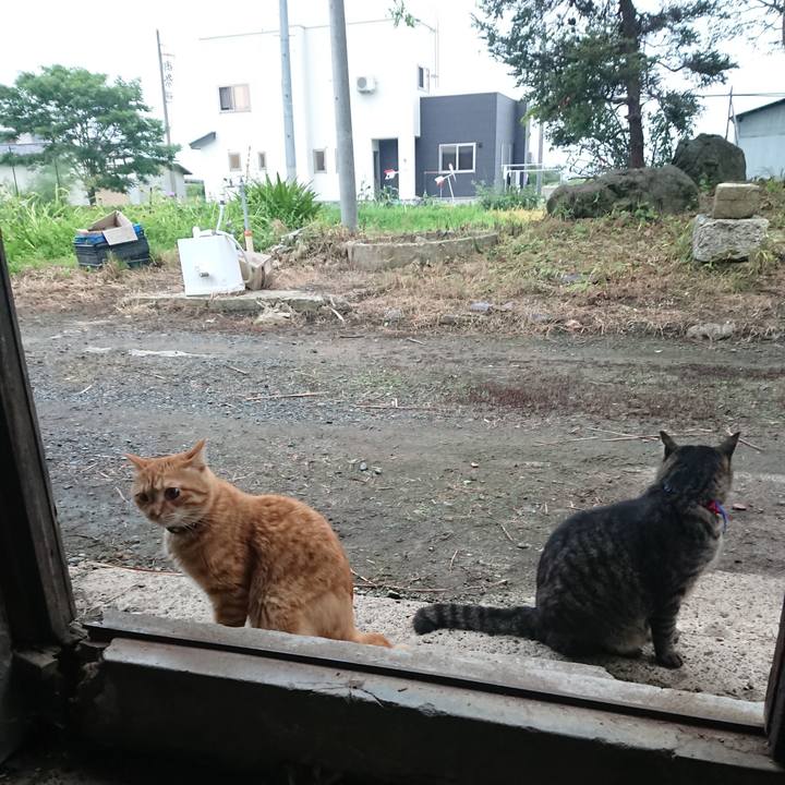 Dcd35093 b0c9 4e0c a6c4 c3e79d5268dc 1658697539953