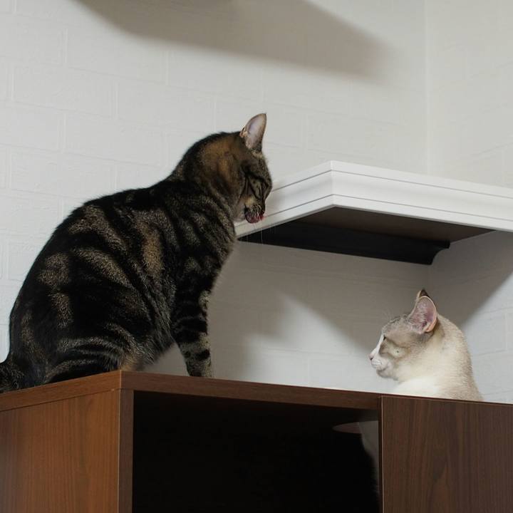 Dcd374f8 f8f0 49a6 b056 066d952fa70d 1538792514320