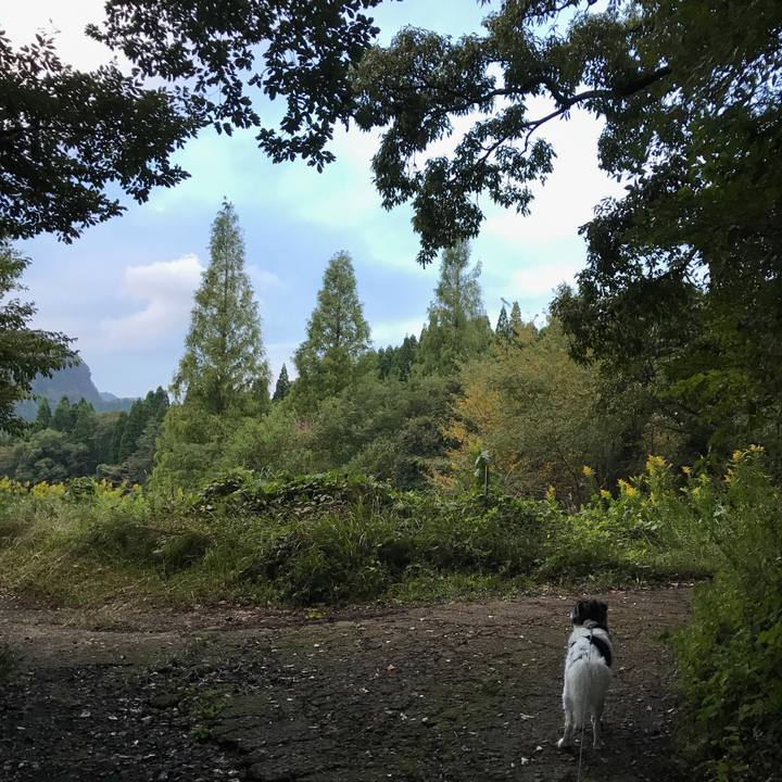 Dcd3e48d b747 45af 845c 7b9e16cf7721 1539353841581