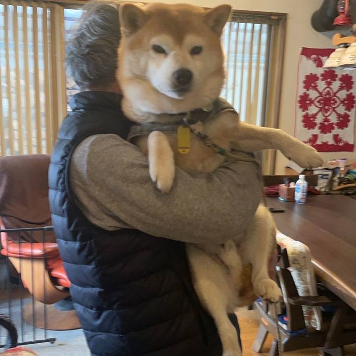 Dcd3e910 ec0e 4a0b 944a 3bcf7e18e23d 1644276142531