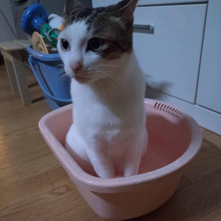 Dcd42fe4 9b98 479e ba3e 76555a995667 1750594716502