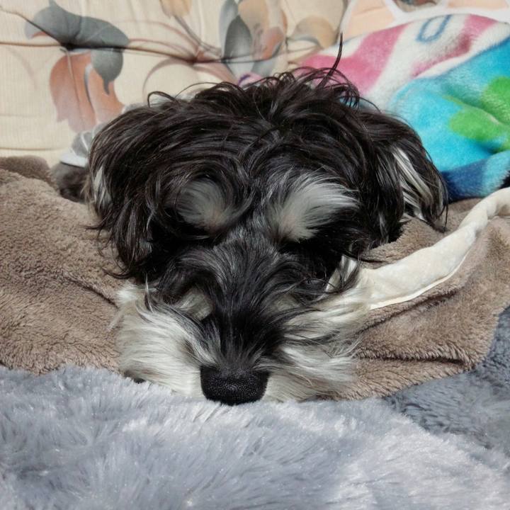 Dcd438f2 0493 4474 bc46 479100ce3e5e 1511074357764