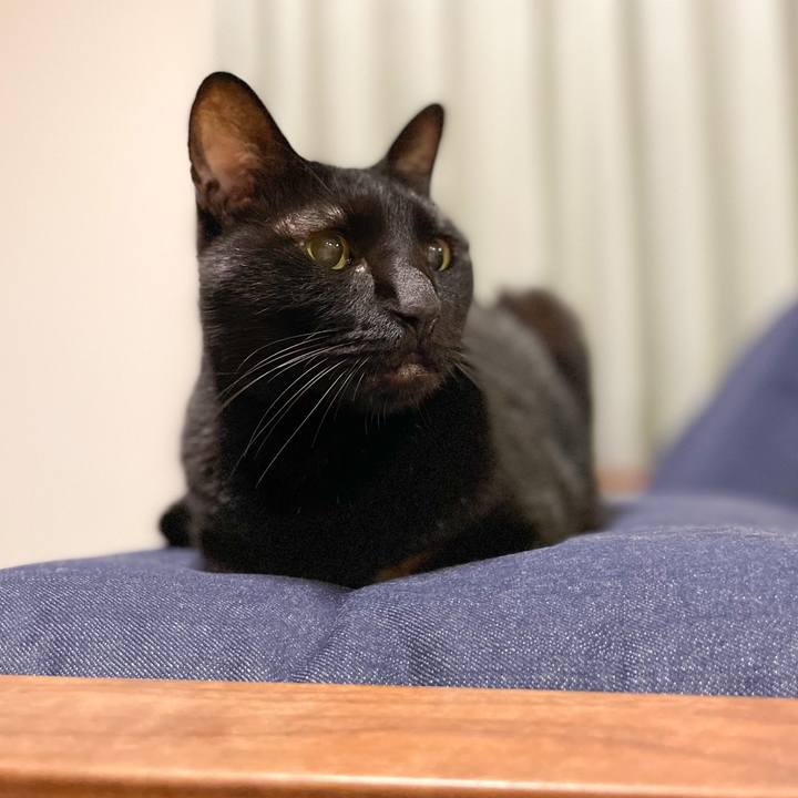 Dcd45f2a 51e8 41df b4f9 a8c678809755 1663374974108