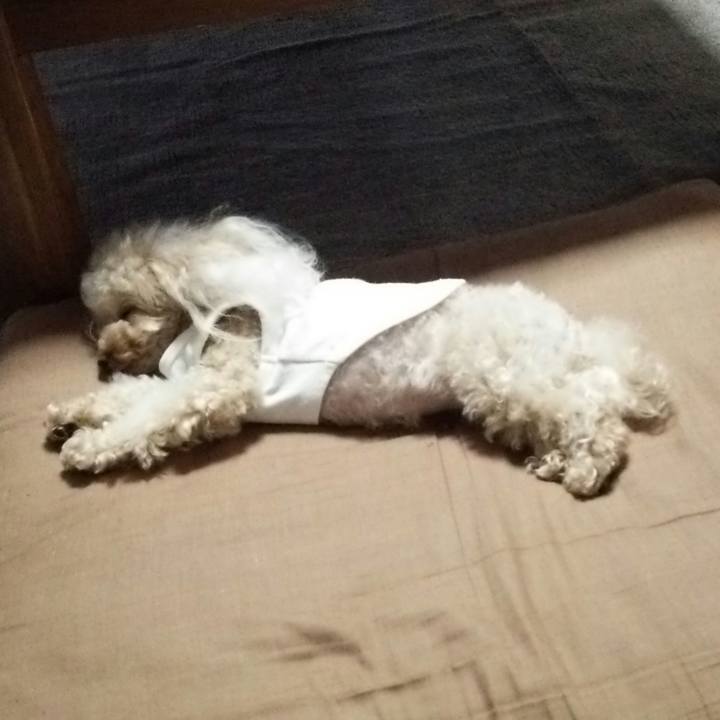 Dcd4a8f0 0402 4e9b 8389 7947d685ade0 1537449062087