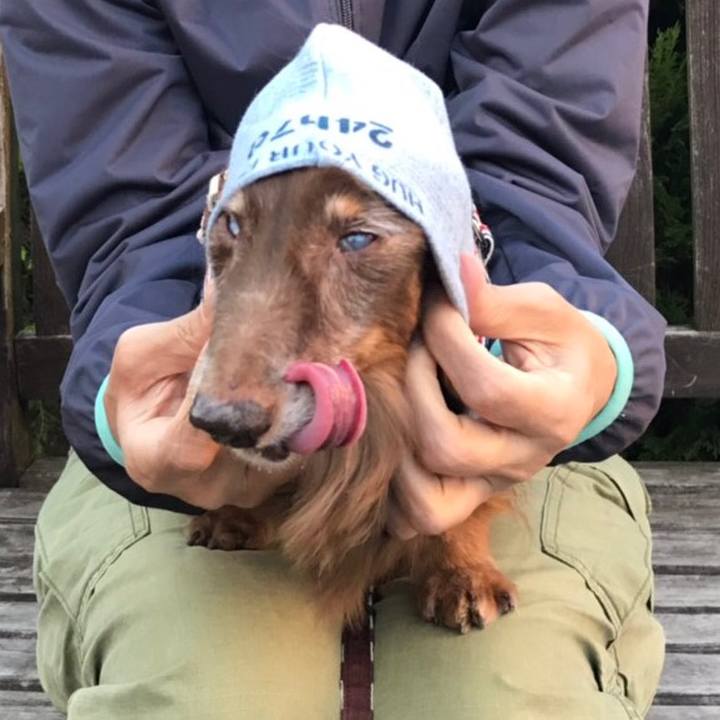 Dcd4b385 7857 4bde 859e 606bba8095c0 1540121129138