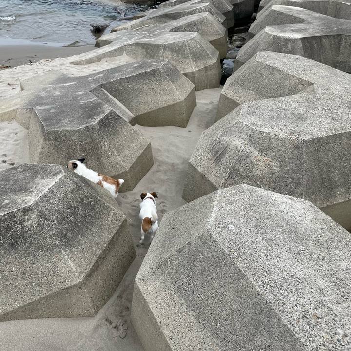 Dcd4e96e 42c5 430d a163 36ec424eeeaf 1650671953137