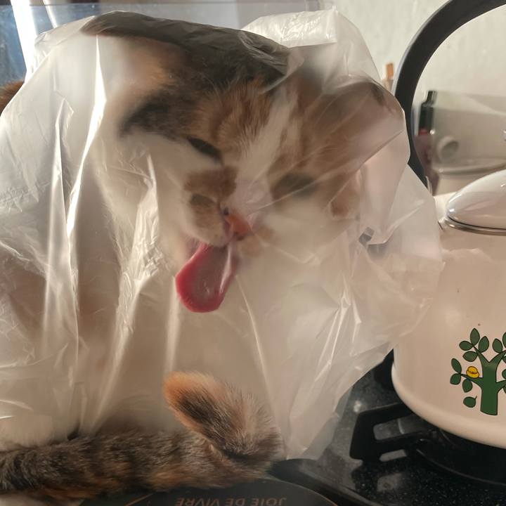 Dcd4ebf5 771b 434c be35 622556a76512 1614250542478