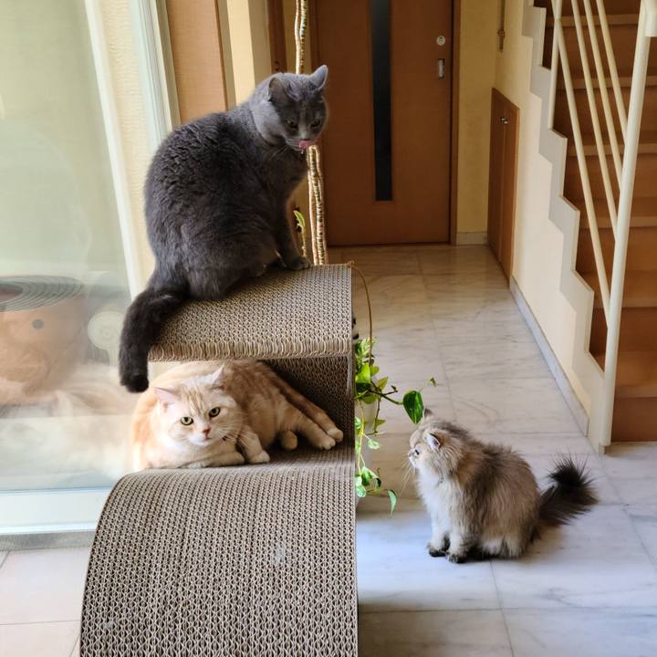 Dcd4ecc3 9dcd 4e7c 926c 5fa3a2374859 1619389706495