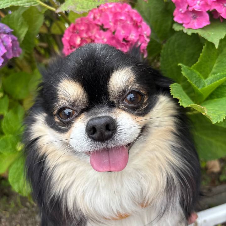 Dcd4fd5a 1607 4a99 ba3f e8f3e5f70498 1758853696468