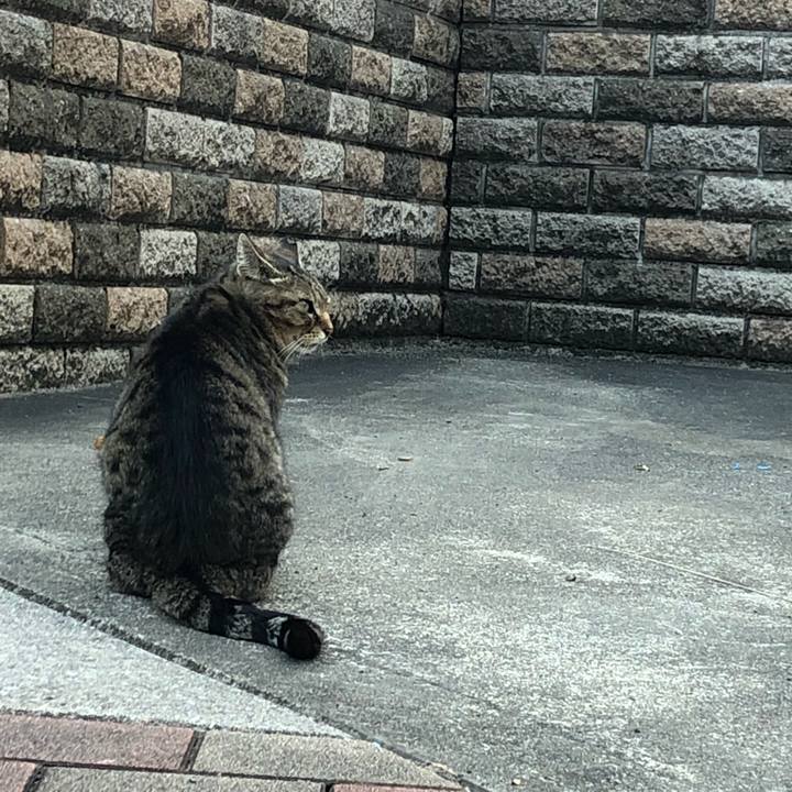 Dcd52ef5 905c 491e b798 0f73edded0d4 1555678653882