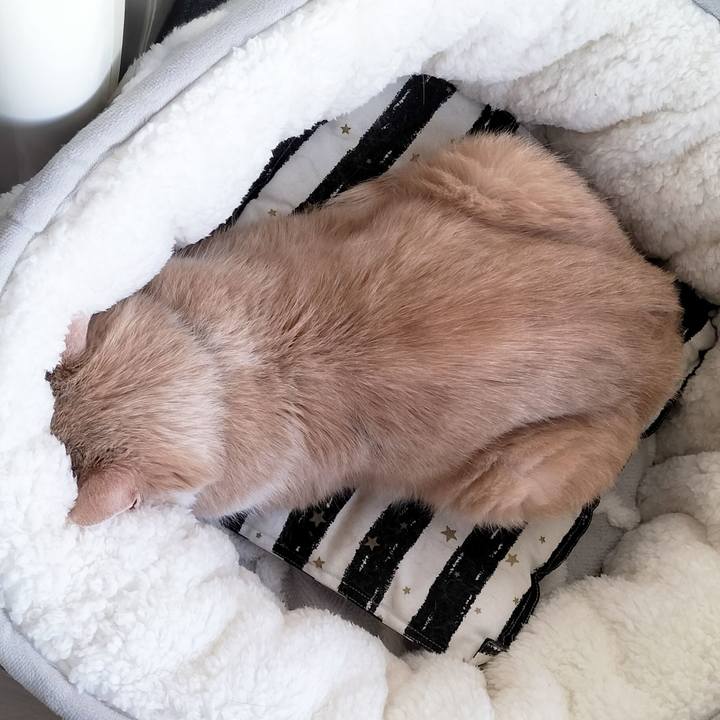 Dcd55554 6345 4682 b2fc 976fc59971e4 1704839958370