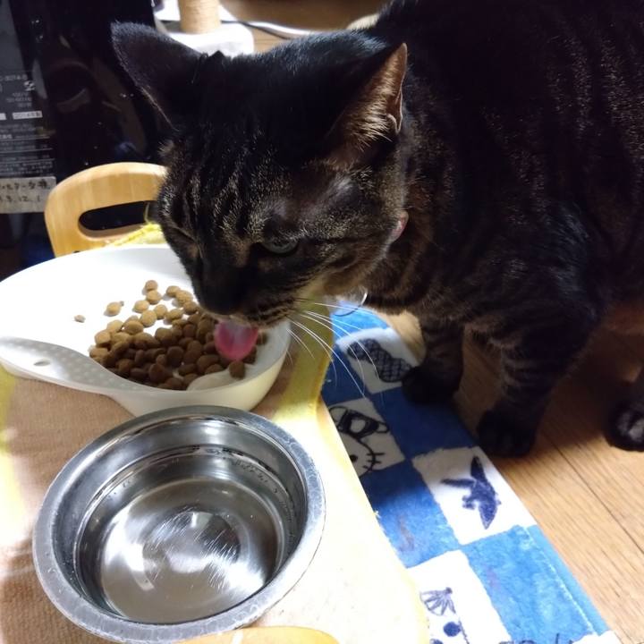 Dcd585e3 3d7f 401f 8bdd 3c5747b3a219 1769081353829