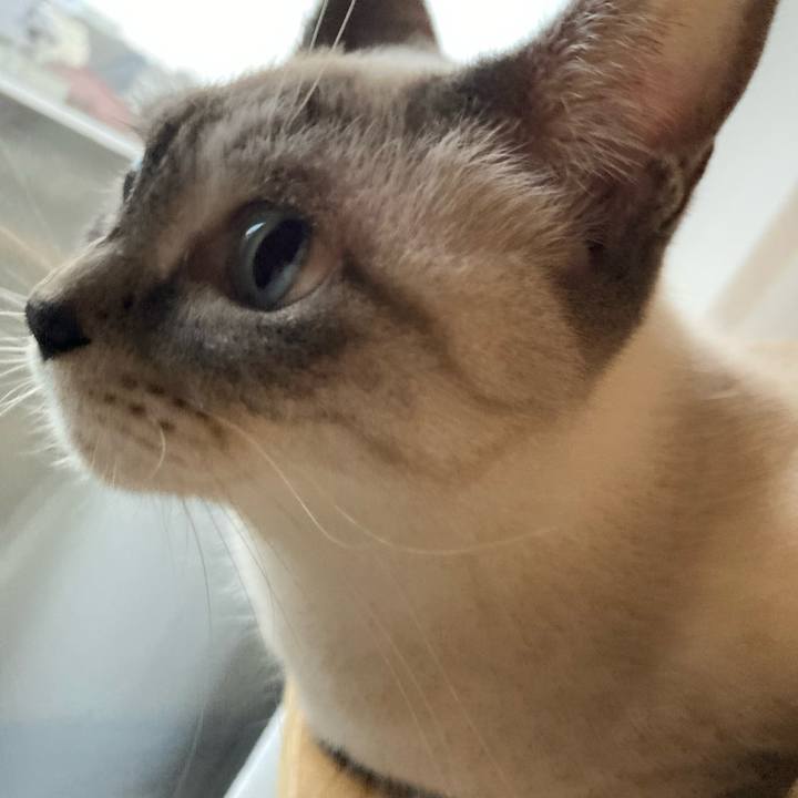 Dcd59e0b 941d 47f7 a7d9 2f6ea2697b10 1699743353836