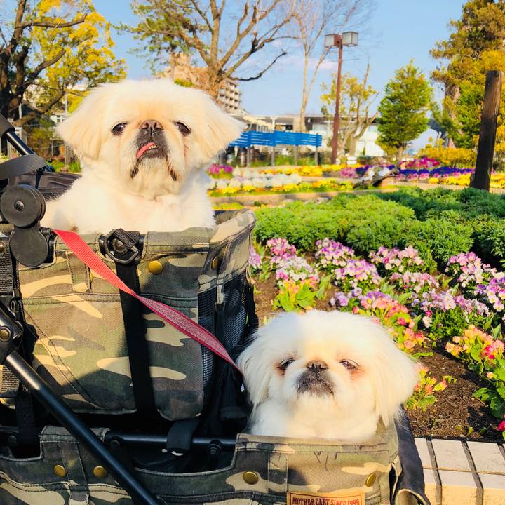 Dcd5c22d 82d6 4054 b8db f58b58526952 1584530593614