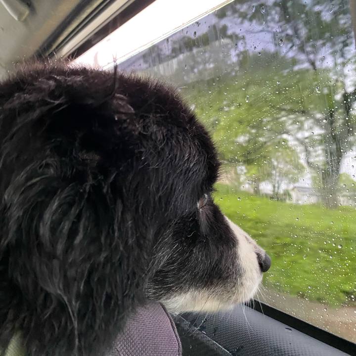 Dcd5f81c 8b0b 4e78 92e7 b2c086151b4b 1686175610956