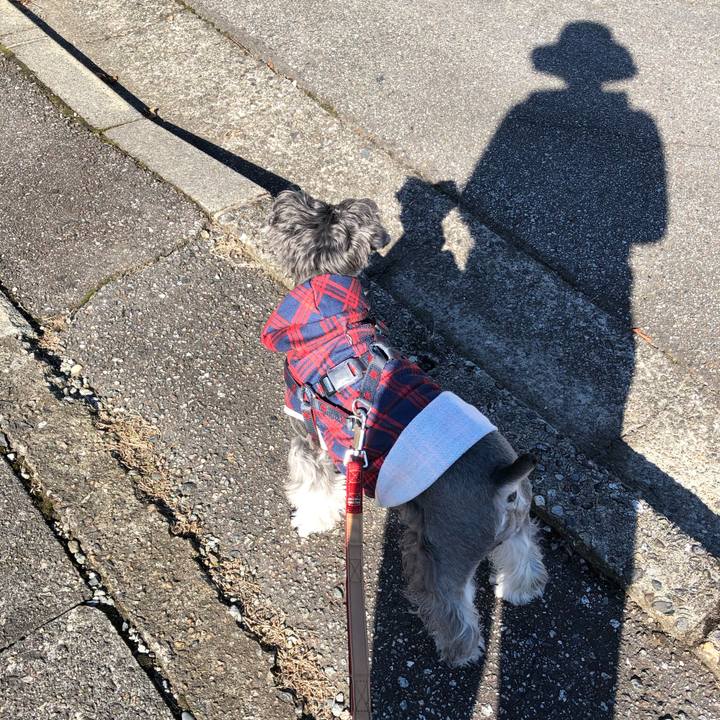 Dcd618e0 a925 4e56 8869 c44686d32ed1 1667441354276