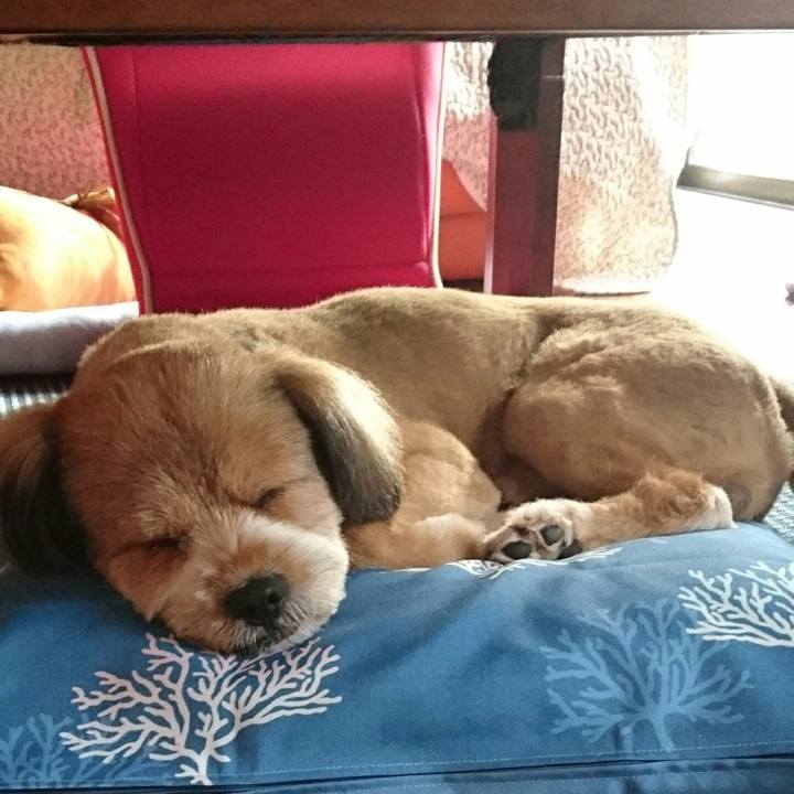 Dcd61f7c c390 46a8 a958 5a25d678ed61 1532988305656