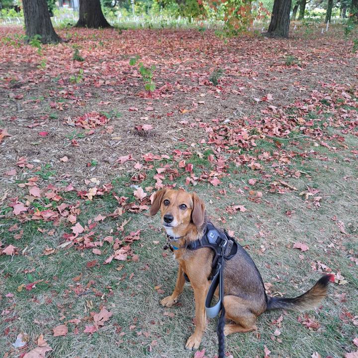 Dcd62d9f 8908 48e7 b8e1 32528cfc2925 1758315151576