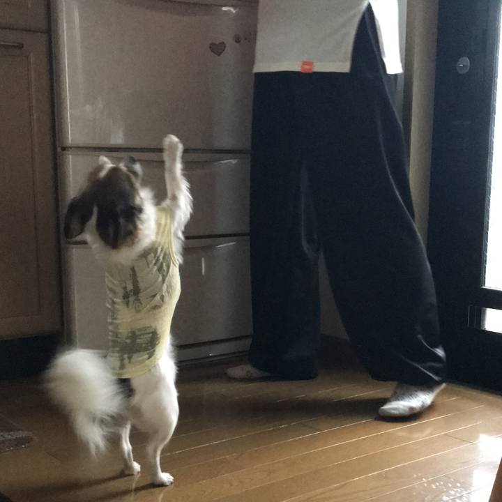 Dcd63297 4d37 4a26 9707 0182861626da 1540354604284