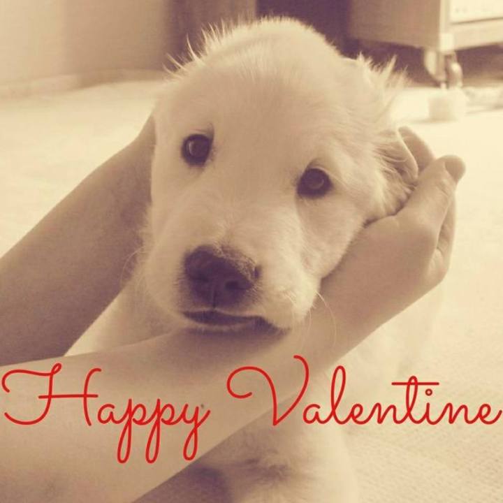 Dcd633fe 4865 43fc bad1 ade965ec7019 1644850132602