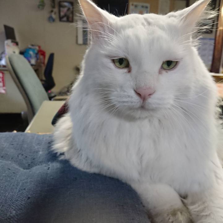 Dcd64a05 66f1 4151 bb1c 27c679e8da4a 1574117457720