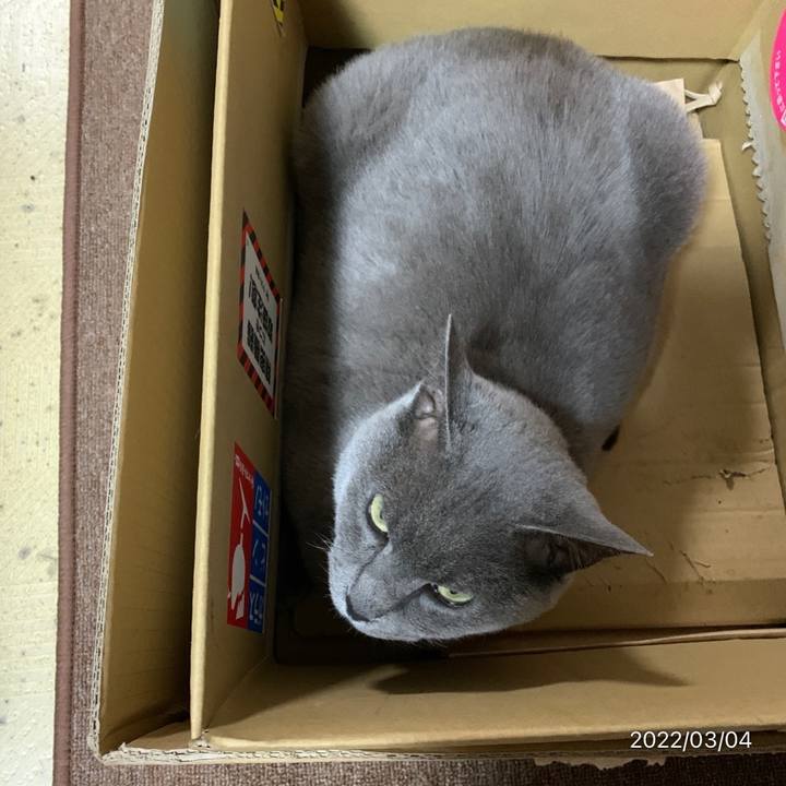 Dcd6a5cd 6713 4af4 ba6f fdd5d512cdbd 1646397379707