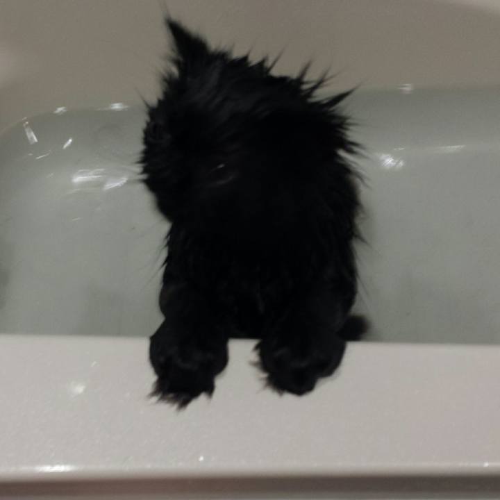 Dcd6daa8 c0a0 4add b7e0 8d58db158ba0 1511048402651