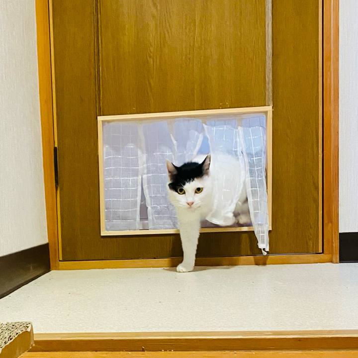 Dcd6f7e3 40f1 474e b98e de7ba28763dc 1655369535616