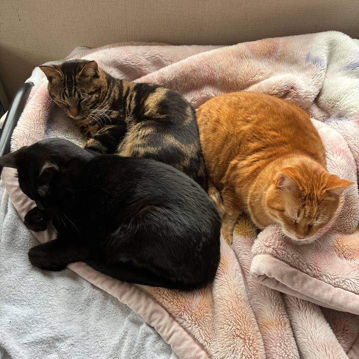 Dcd719b1 4136 435b b4ac c8c23224f061 1775355098259