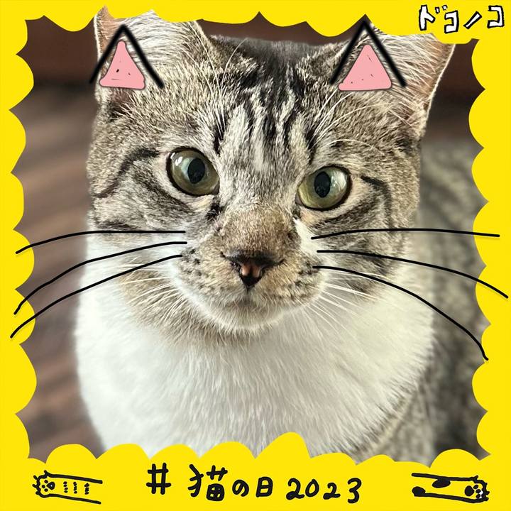 Dcd7221a 0669 4e7d 8a98 d08ab7637b9a 1677057823741